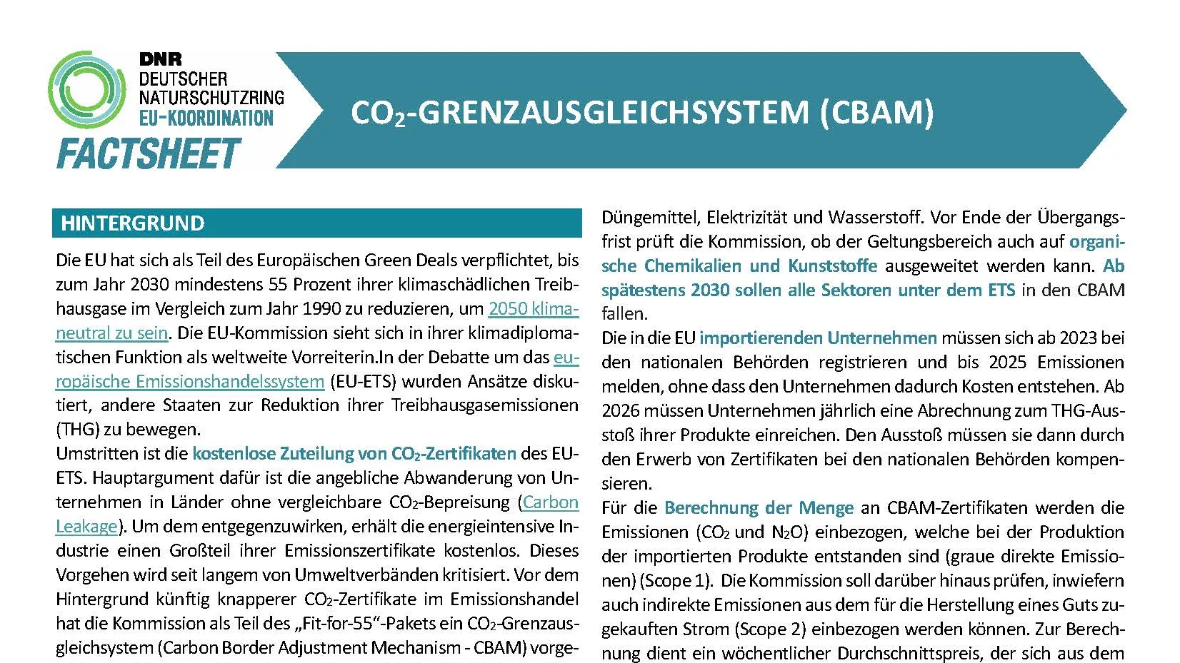 Screenshot Factsheet CBAM